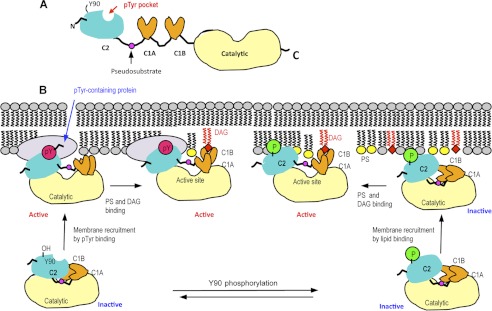 FIGURE 7.