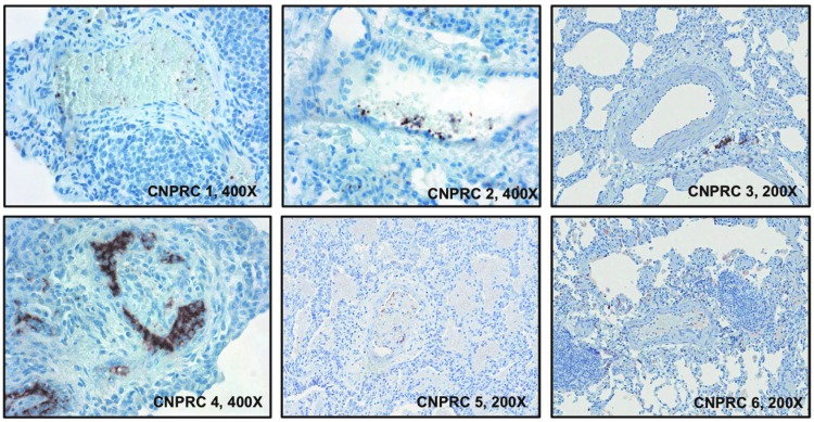 FIG. 8.