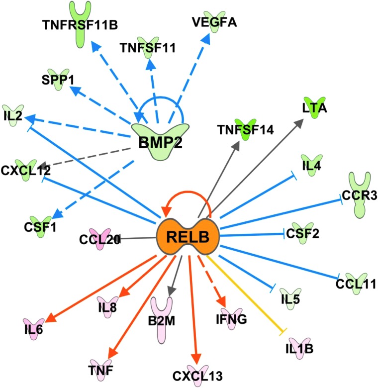 FIG. 13.