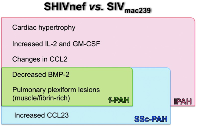 FIG. 14.