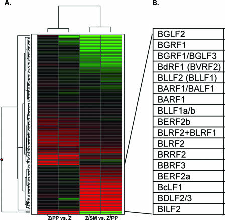 FIG. 7.