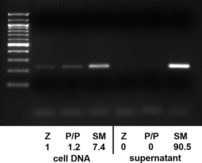 FIG. 5.