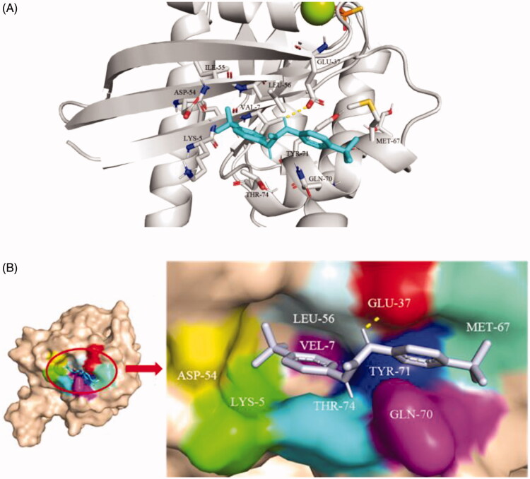 Figure 2.