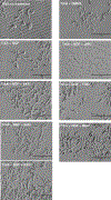 Extended Data Figure 10.