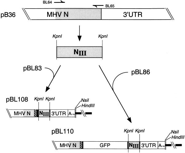 FIG. 5