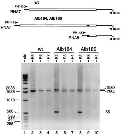 FIG. 6