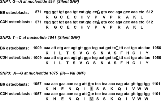 FIGURE 10.