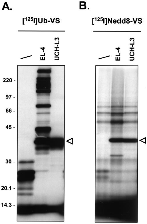 FIG. 5.