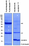 FIG. 8.