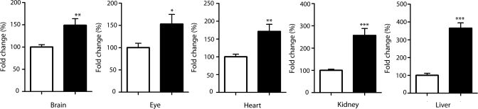 Figure 2.