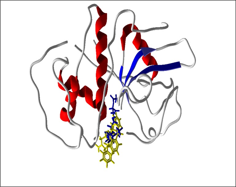 Supplementary Figure 3