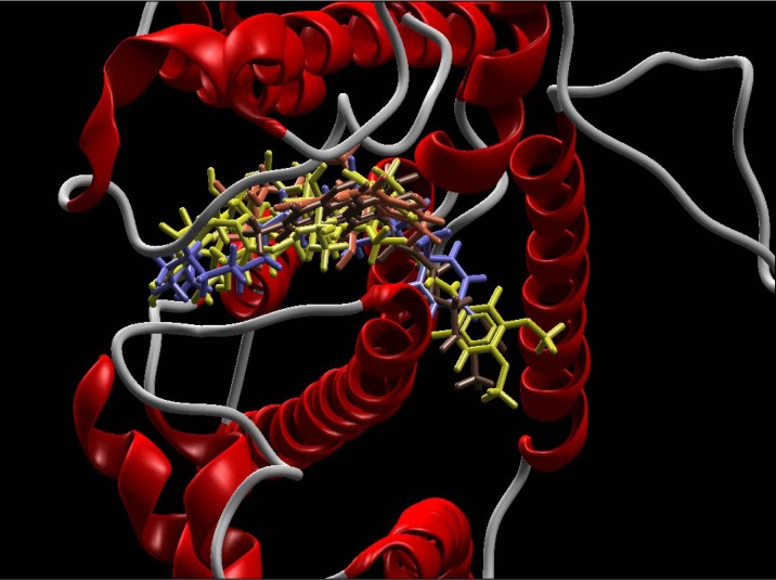 Supplementary Figure 5