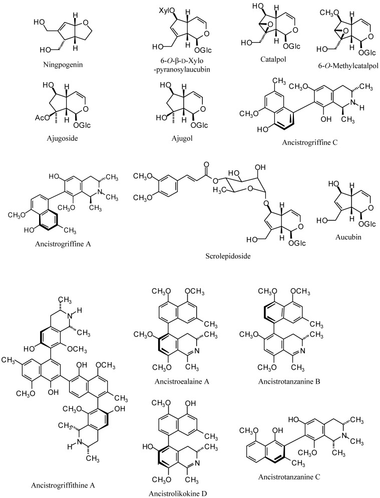 Figure 10