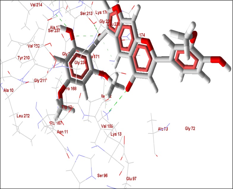 Supplementary Figure 4