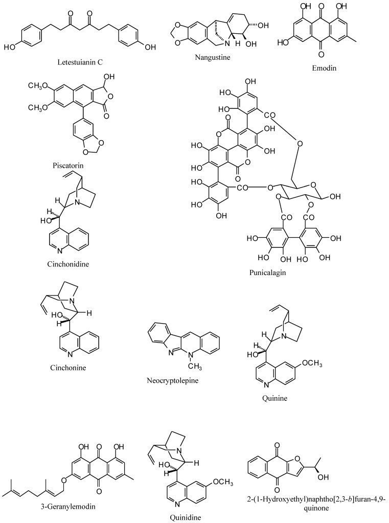 Figure 10