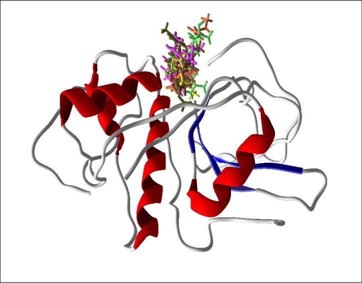 Supplementary Figure 6