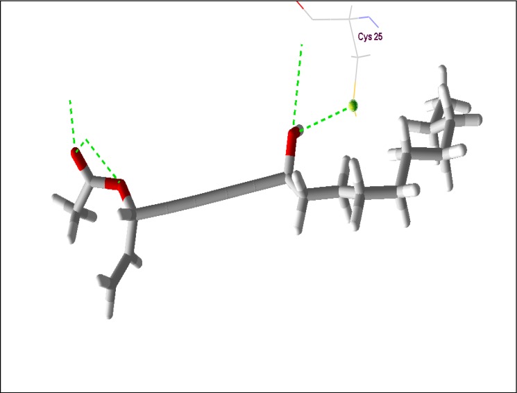 Supplementary Figure 1