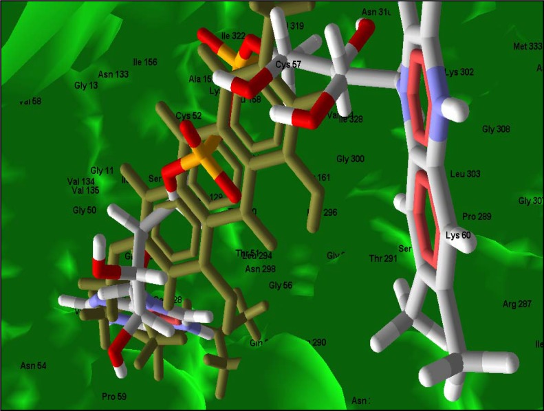 Figure 7