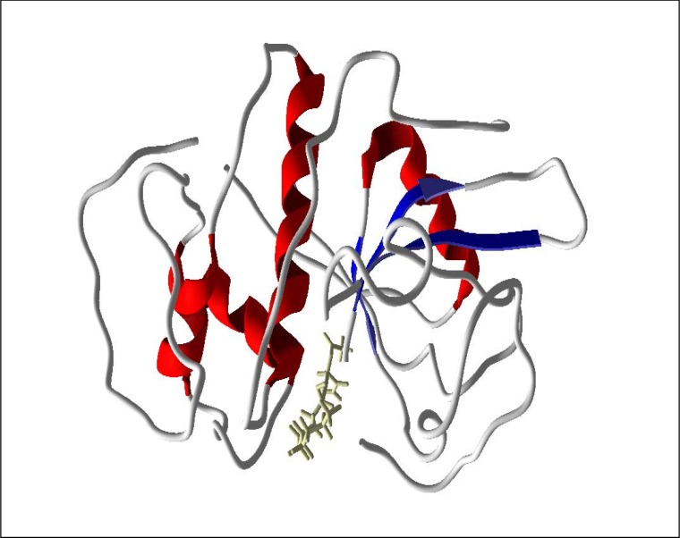 Supplementary Figure 2