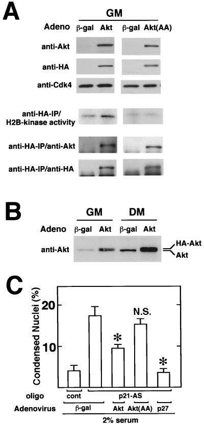 FIG. 9