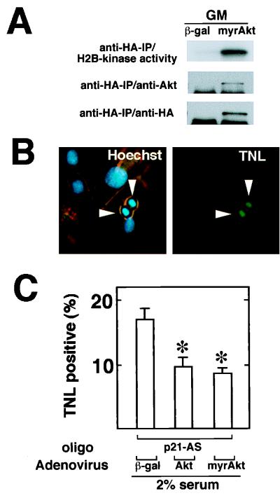 FIG. 10