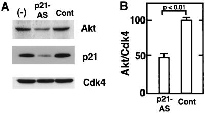 FIG. 7