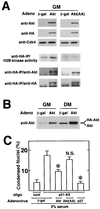 FIG. 9