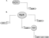 Fig 8