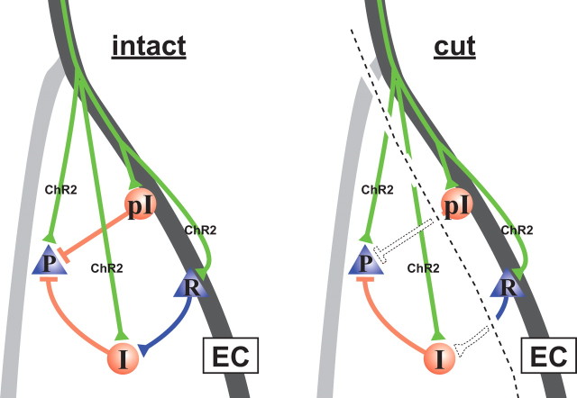 Figure 7.