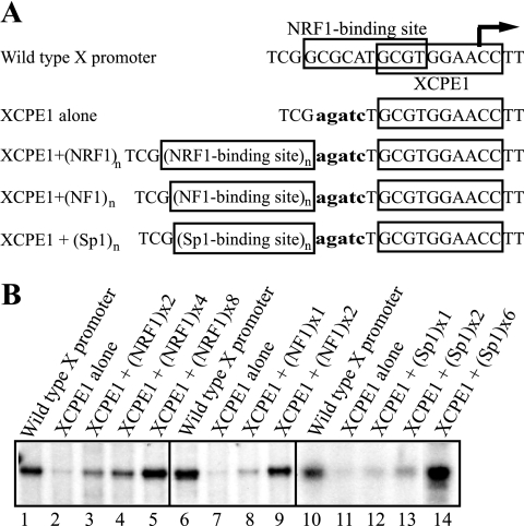 FIG. 4.