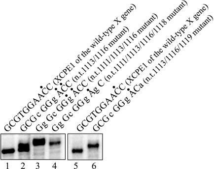 FIG. 5.