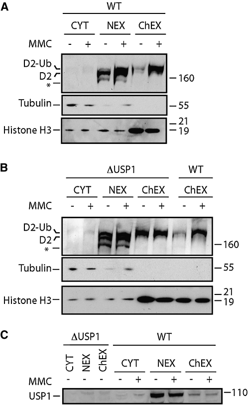 Figure 5