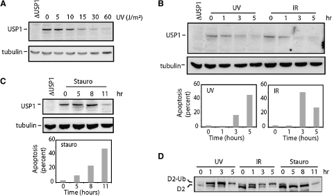 Figure 6