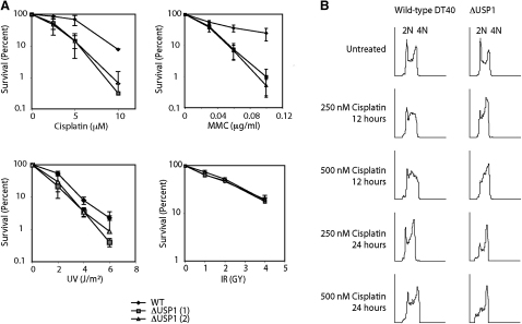 Figure 3