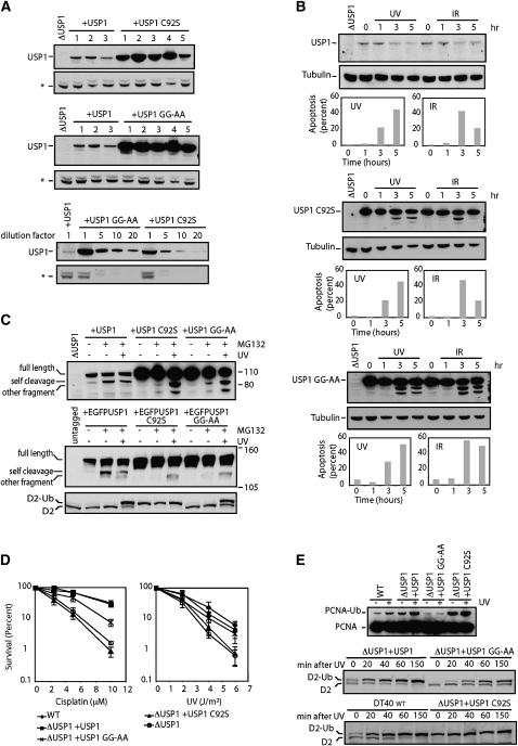 Figure 7