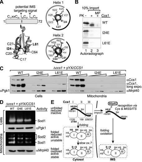 FIGURE 6: