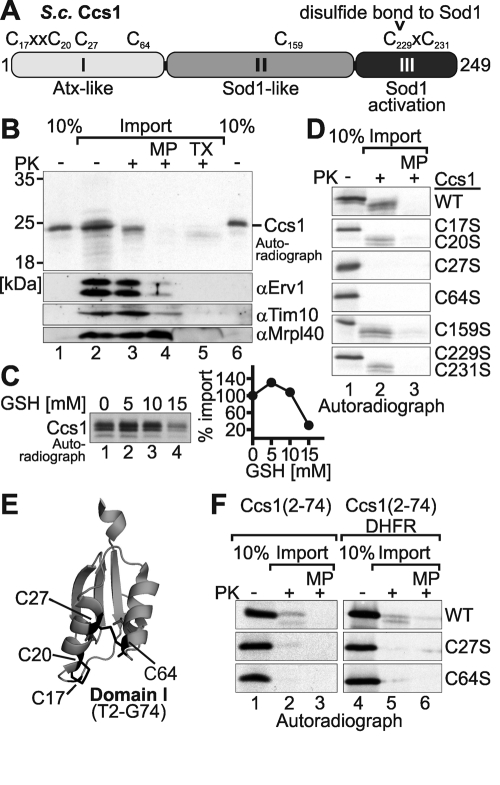 FIGURE 1: