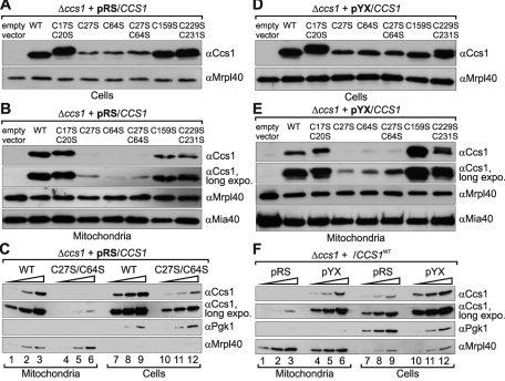 FIGURE 4: