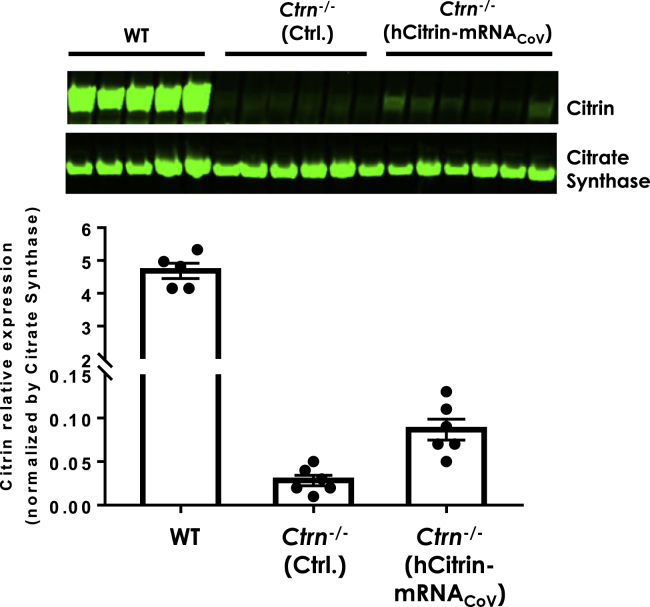 Figure 4