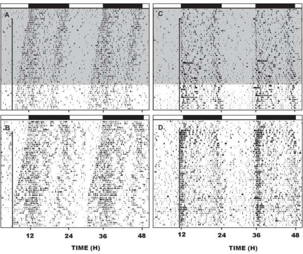 Fig 10