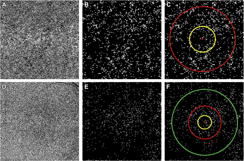 FIGURE 1: