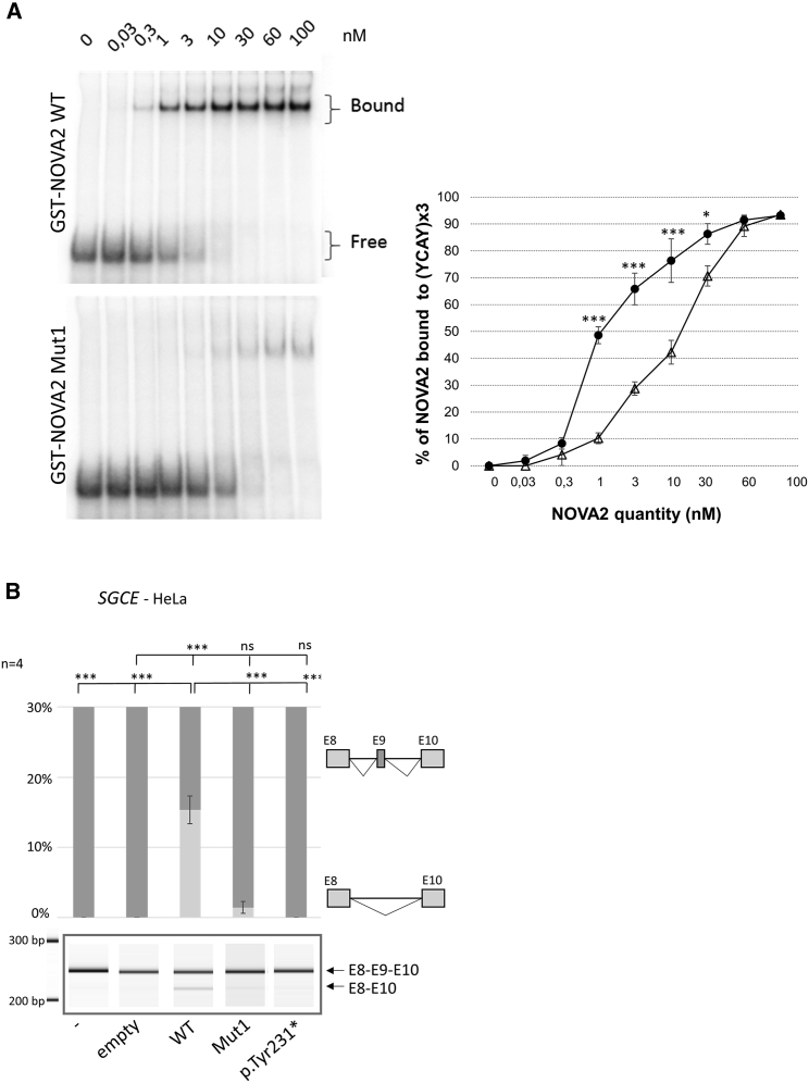 Figure 4