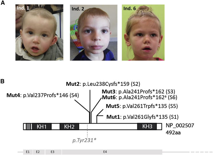 Figure 1