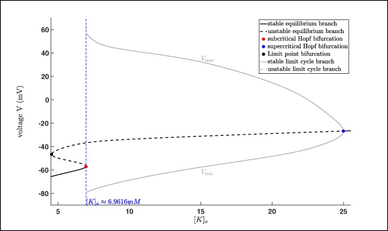 Fig. 10