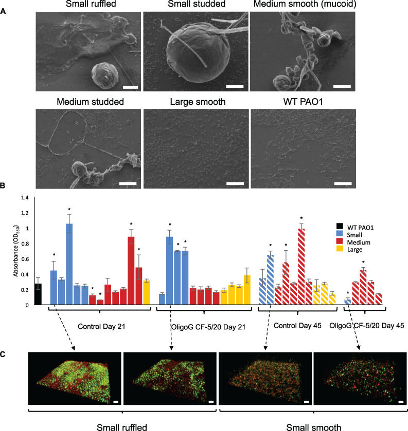 FIG 3