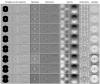 Fig. 10