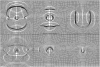 Fig. 9