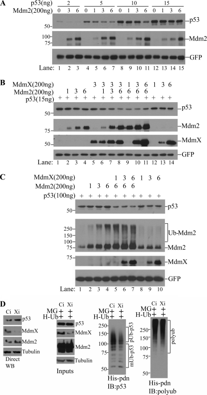 FIGURE 6.