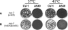 FIG. 4.