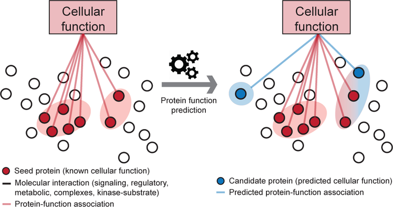 Figure 7: